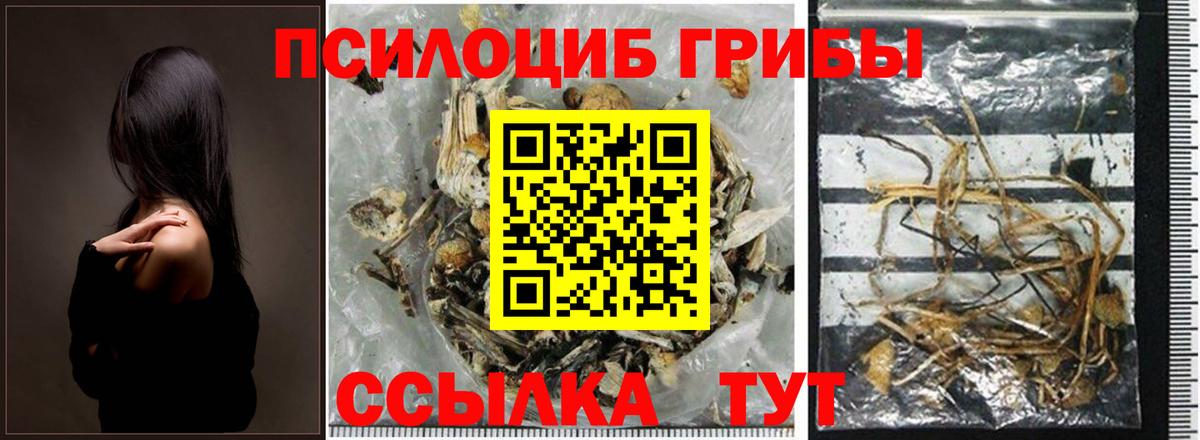 Галлюциногенные грибы GOLDEN TEACHER Ишимбай